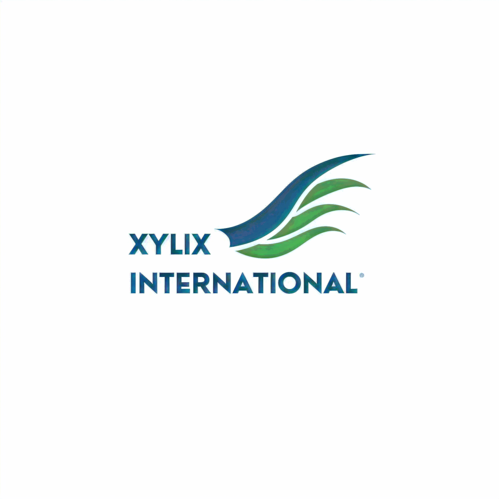 Welcome to Xylix International Pvt Ltd: Your Destination for Exquisite Wooden Creations